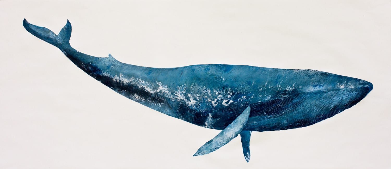 Sharon Whitham, Blue Whale
