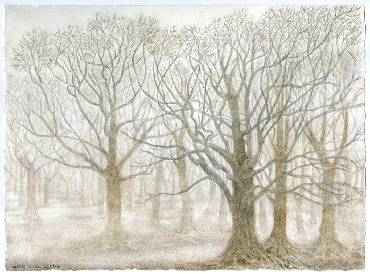 A Walk in Winter Fog by Anne Palms Chalmers