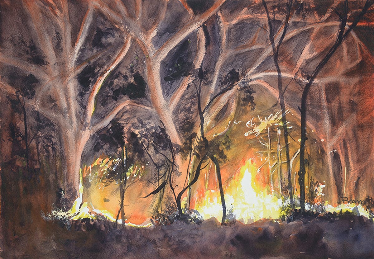 Forest Fire by Pram Townsend