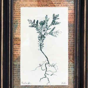 Rooted by Amy McGregor-Radin