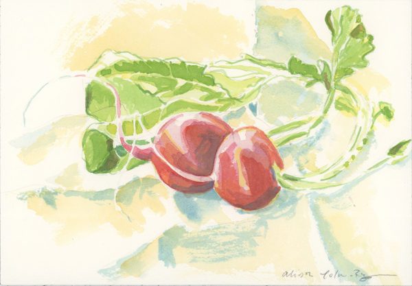 2Radishes, 2018, watercolor, 7 x 10 in