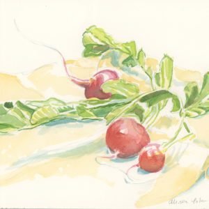 3Radishes, 2018, watercolor, 9 x 12 in.