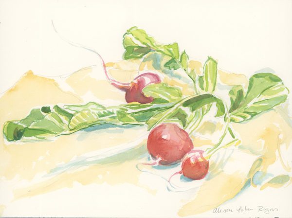 3Radishes, 2018, watercolor, 9 x 12 in.