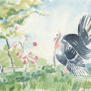 Turkey, 2020, watercolor, 10 x 14 in