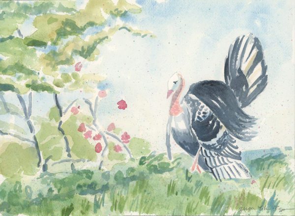 Turkey, 2020, watercolor, 10 x 14 in