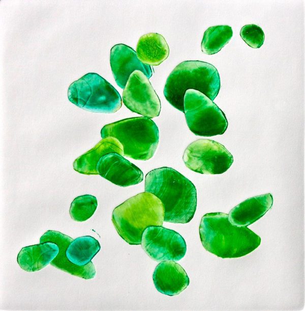 Sea Glass, 2017, printmaking, monotype, oil on paper, 8 x 8 in.