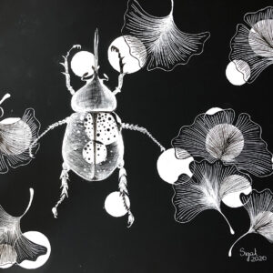 Beetle In Ginkgo Biloba Leaves