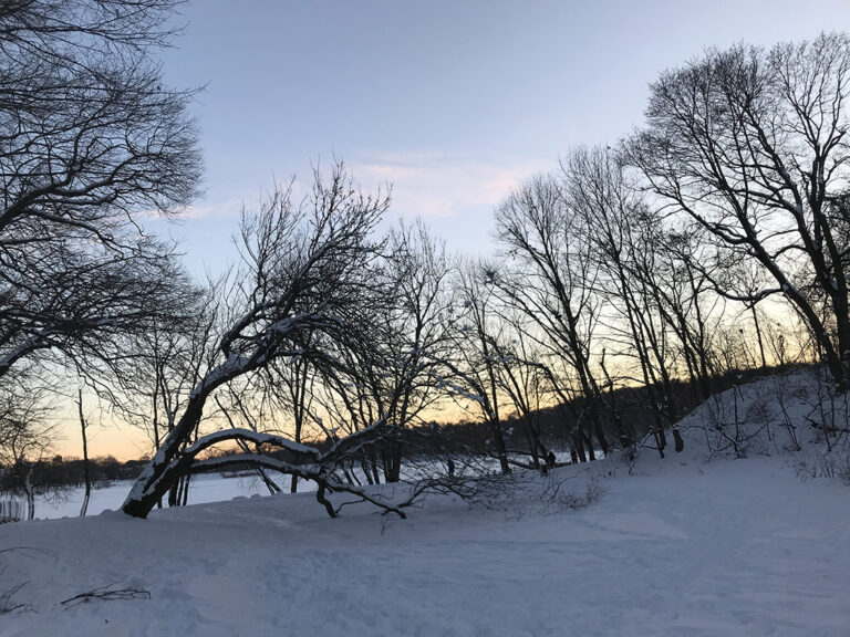 Jamaica Pond