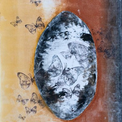 sharon-whitman-butterfly-effect-16x24